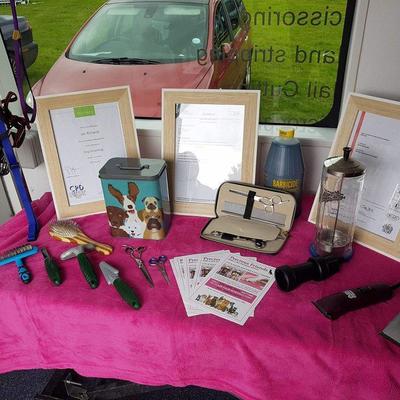 Small a display on the grooming table   01